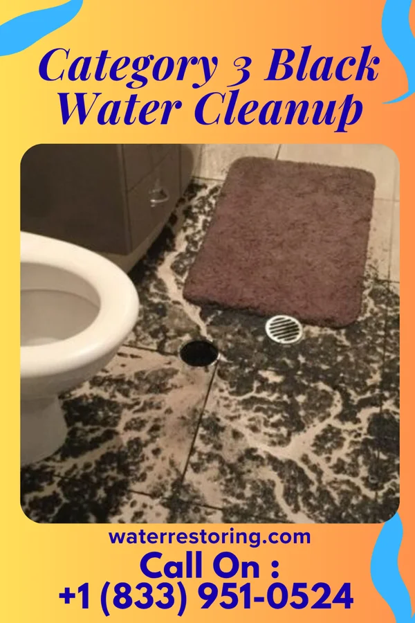 Category 3 Black Water Cleanup in Brayton, IA