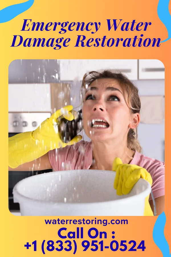 Emergency Water Damage Restoration in Brayton, IA