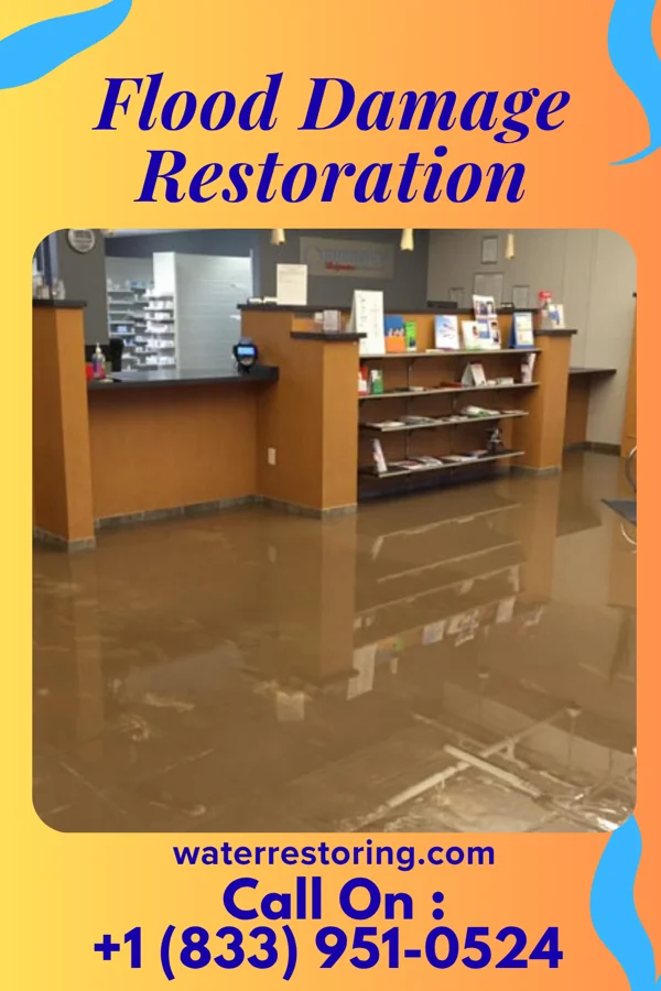 Flood Damage Restoration in Brayton, IA