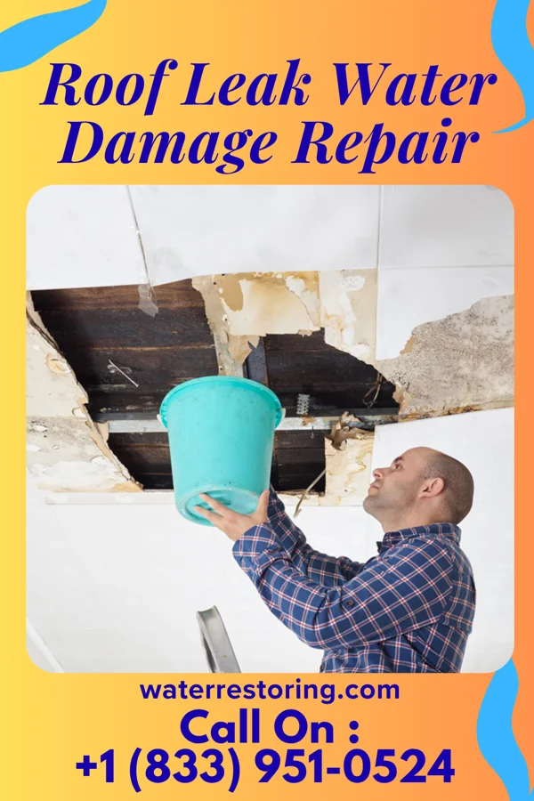 Roof Leak Water Damage Repair in Brayton, IA