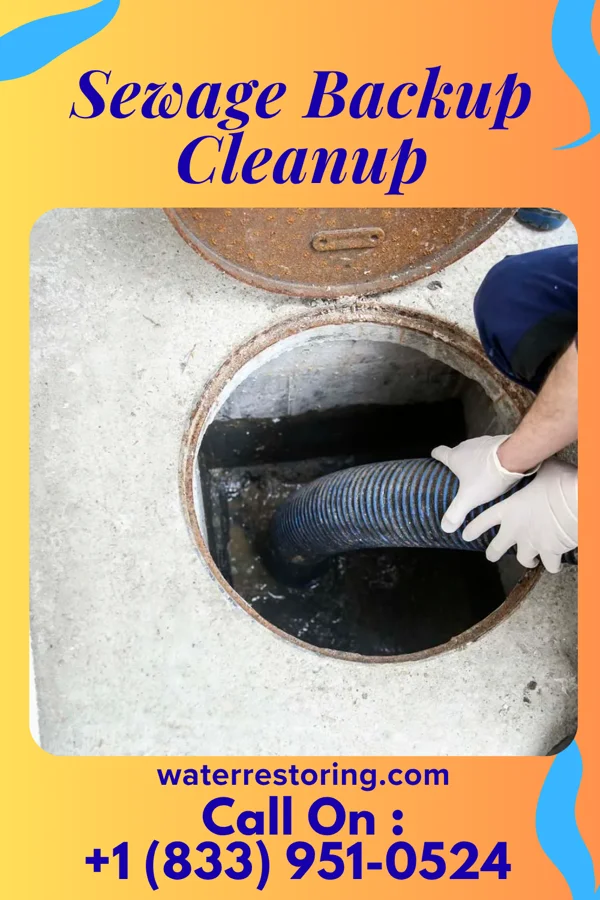 Sewage Backup Cleanup in Brayton, IA
